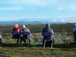 Watsonville covid-19