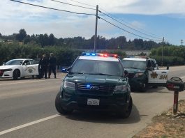 Suspect arrested after running from officers during car stop