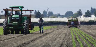 housing for the harvest