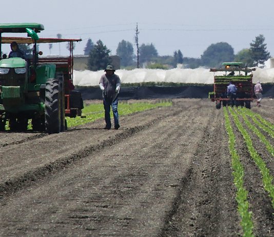 housing for the harvest