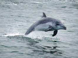 Splash zone | Photo Gallery