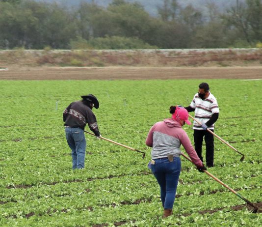 California ranches, farms take a hit