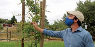 watsonville wetlands watch