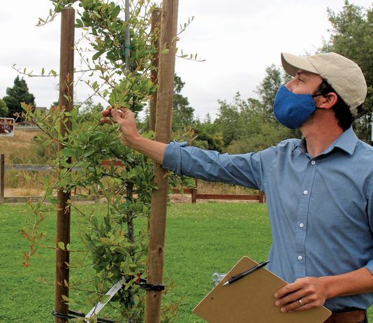 watsonville wetlands watch