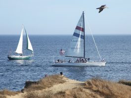 Sail away | About Town
