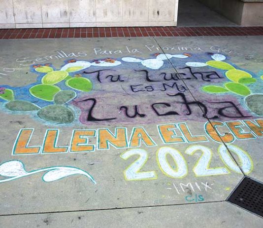 2020 census watsonville