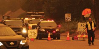 CZU August Lightning Complex