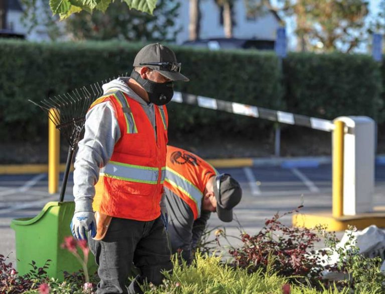 Fires, pandemic present new challenges for gardeners