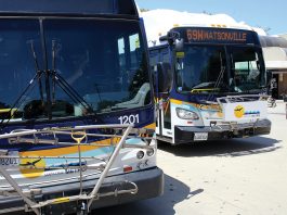 Santa Cruz METRO Covid-19