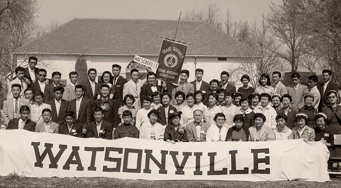 Watsonville japanese