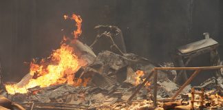 CZU August Lightning Complex