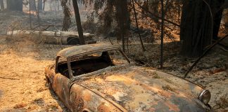 CZU August Lightning Complex Fires