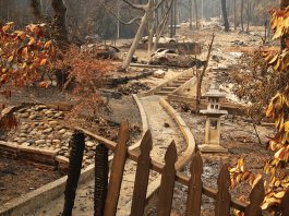 More than 700 structures destroyed by CZU Complex fire; now 24% contained CZU August Lightning Complex fires