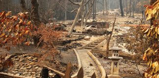 CZU August Lightning Complex fires