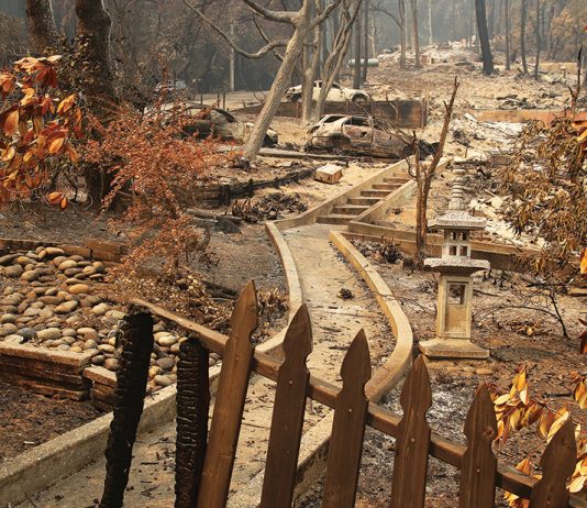 CZU August Lightning Complex fires