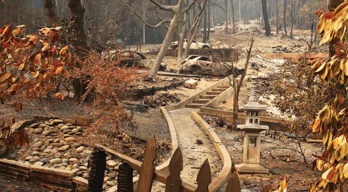 CZU August Lightning Complex fires