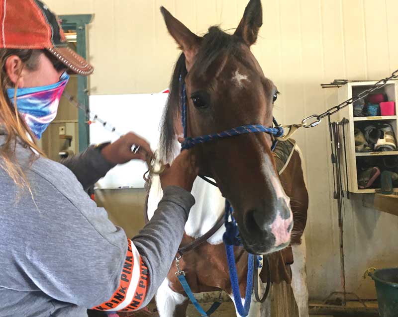 Mt. Madonna Stables offers trail rides through park