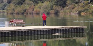 Pinto Lake City Park