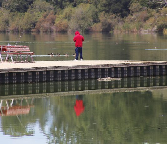 Pinto Lake City Park