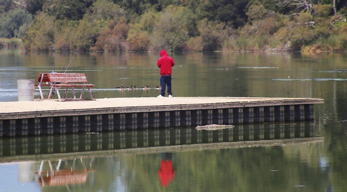 Pinto Lake City Park