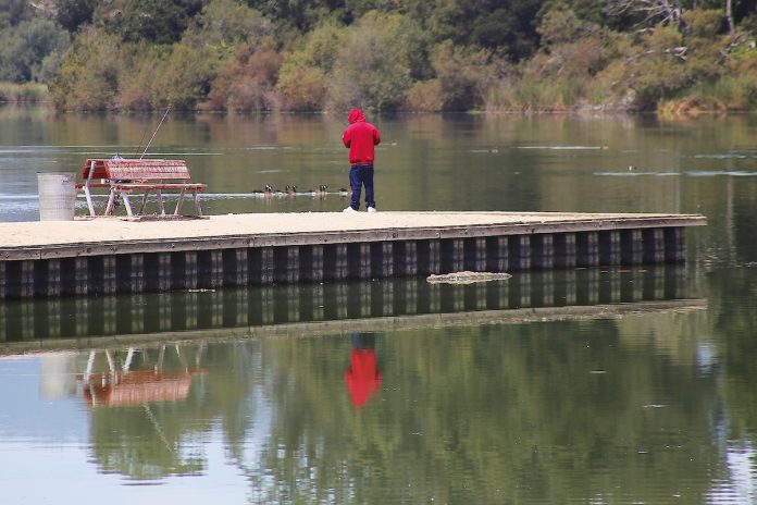 Pinto Lake City Park