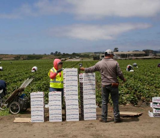 Santa Cruz County