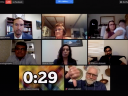 Watsonville City Councilman mocks community member during meeting Lowell hurst Watsonville