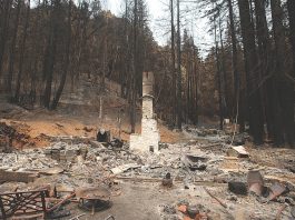 County officials warn of mudslides, debris flows in CZU fire zone Santa Cruz mountains mudslide debris