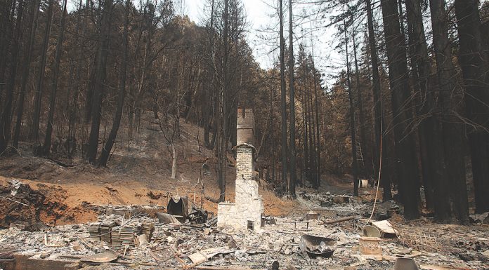 Santa Cruz mountains mudslide debris