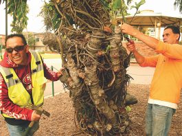 Watsonville cleanup crew
