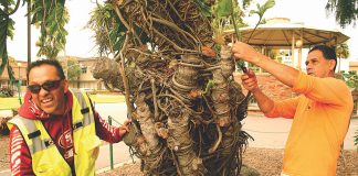 Watsonville cleanup crew