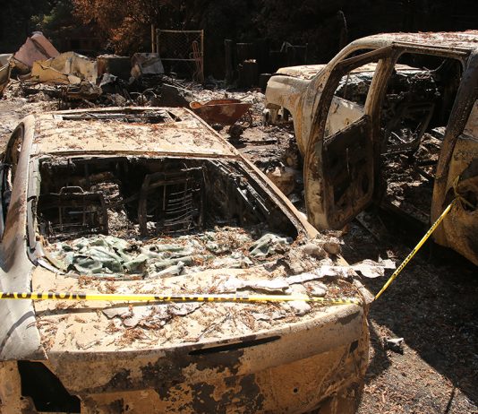 CZU August Lightning Complex