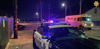 watsonville shooting walker street