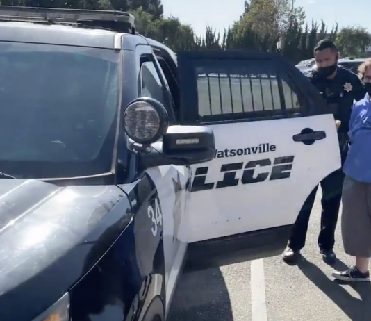 Julie brooks felony grand theft charges