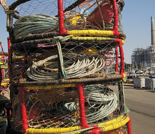 crab season regulations