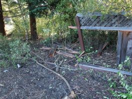 Amesti Road Watsonville