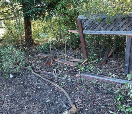 Watsonville man dies in solo-vehicle crash Amesti Road Watsonville