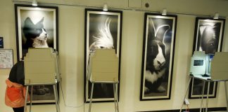 Santa Cruz county elections