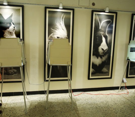 Local elections see three major upsets Santa Cruz county elections