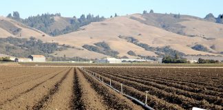 pvwma water conservation