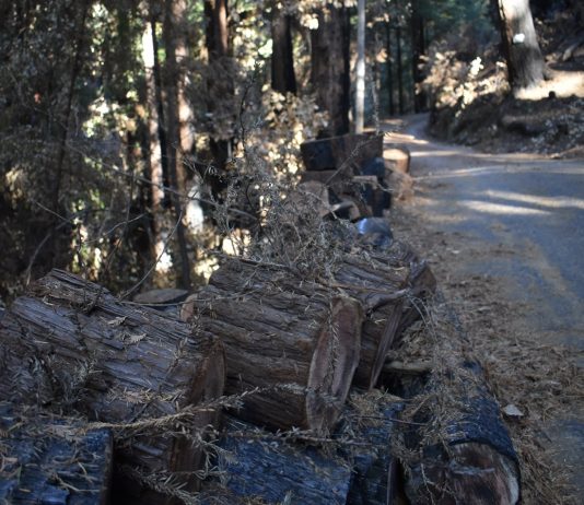 County to file complaints against PG&E for unpermitted timber harvesting, environmental damage