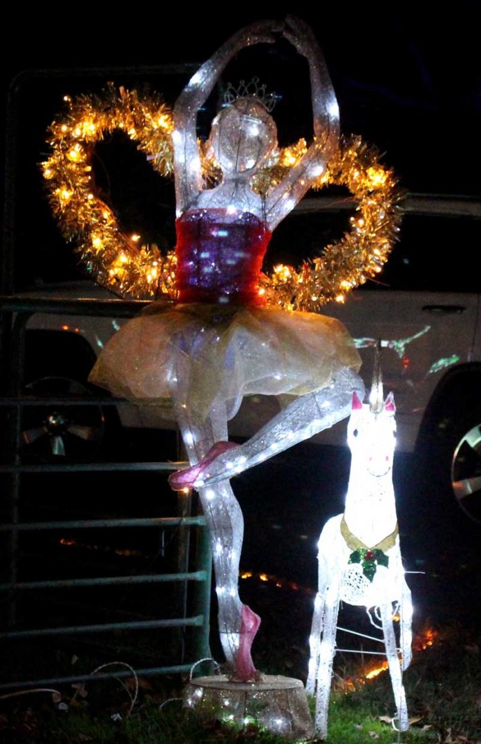 A journey through the lights The Pajaronian Watsonville, CA