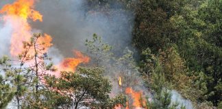 aptos/la selva fire central fire