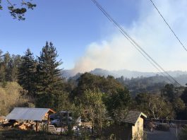 Freedom Fire forces evacuations just north of Watsonville Santa Cruz county winds fires