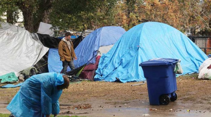 santa cruz county homelessness plan