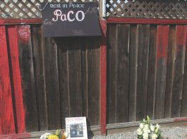 Watsonville shooting