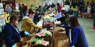 watsonville vaccinations seniors