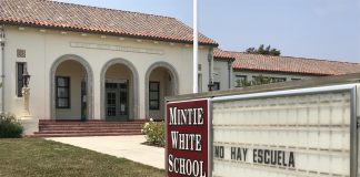 mintie white pvusd school