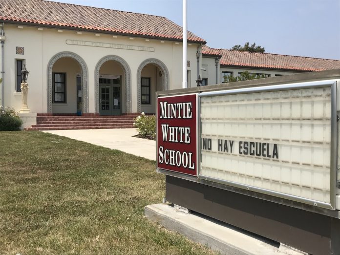 mintie white pvusd school