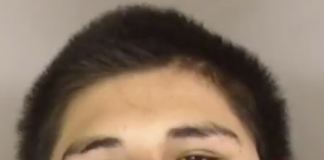 Watsonville green valley shooting